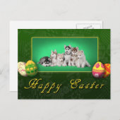 ハスキーの子犬のイースター シーズンポストカード (正面/裏面)