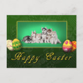 ハスキーの子犬のイースター シーズンポストカード (正面)