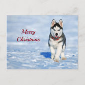 ハスキーの子犬の雪の写真クリスマス ポストカード (正面)
