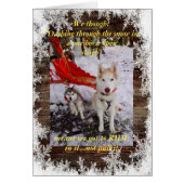 ハスキーの馬乗り (正面)