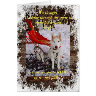 ハスキーの馬乗り