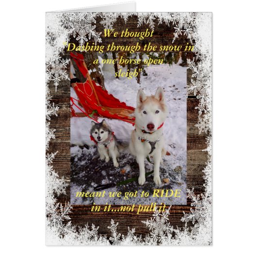 ハスキーの馬乗り (正面)