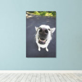 ハスキーの鼻のクローズアップ キャンバスプリント (インサイチュ (ウッドフロア))