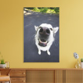 ハスキーの鼻のクローズアップ キャンバスプリント (インサイチュ (リビング))