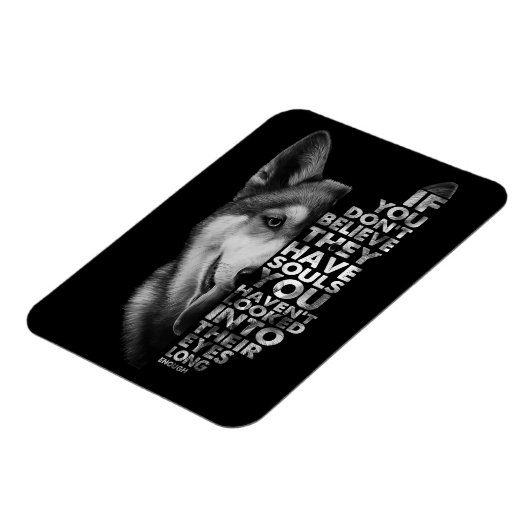 ハスキーもしお前は信じ魂犬Tを持っていない –  マグネット (左側)