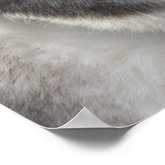 ハスキーアートプリントスリング犬アートのポスターハスキーギフト ポスター (角)