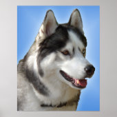 ハスキーアートプリントスリング犬アートのポスターハスキーギフト ポスター (正面)