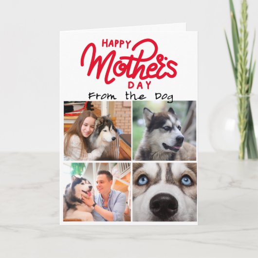 ハスキーカスタムモムズのカードの4枚の写真コラージュ サンキューカード (正面)