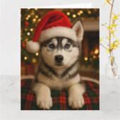 ハスキークリスマスカード カード (黄色い花)