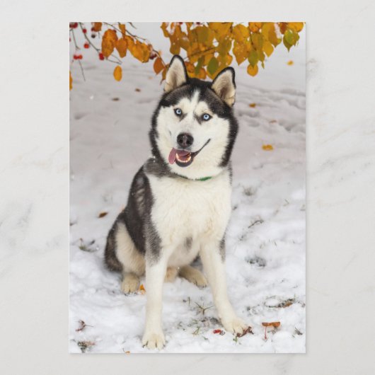 ハスキーバー メニュー (裏面)