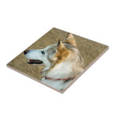 ハスキーポートレート タイル (側面)