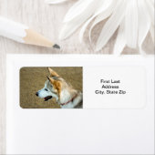 ハスキーポートレート ラベル (インサイチュ)