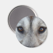 ハスキー冷蔵庫マグネットそり犬ウルフマグネット/ギフト マグネット (正面/裏面)