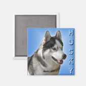 ハスキー冷蔵庫用マグネットアラスカそりドッグマグネット/ギフト マグネット (正面/裏面)
