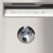 ハスキー冷蔵庫用マグネットアラスカそりドッグマグネット/ギフト マグネット (インサイチュ (食洗機))