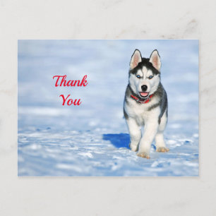 ハスキー子犬の雪の写真ありがとう ポストカード