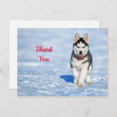 ハスキー子犬の雪写真ありがとう ポストカード (正面/裏面)