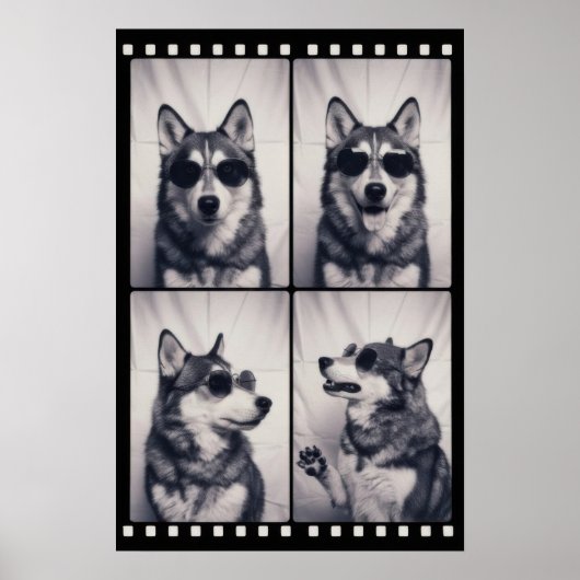 ハスキー犬のポートレート ポスター (正面)