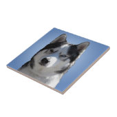 ハスキー犬アートセラミックタイル マラミュートオオカミの目 ギフト タイル (側面)