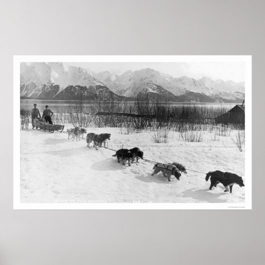 ハスキー犬チームアラスカ1918 ポスター (正面)