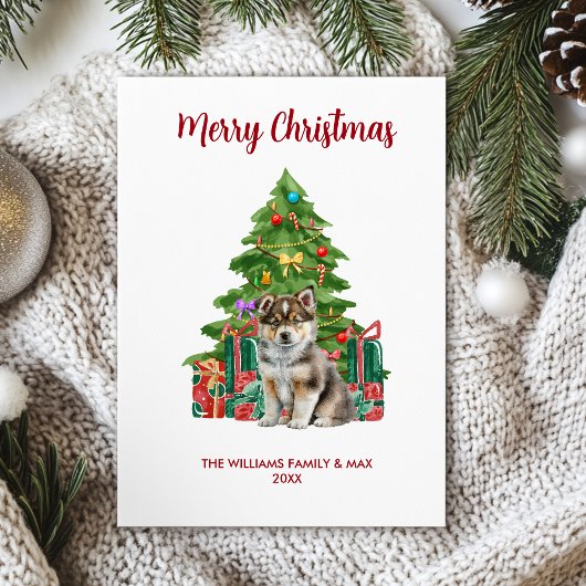 ハスキー犬ファミリークリスマス シーズンカード