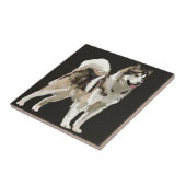 ハスキー犬 セラミック フォト タイル (側面)