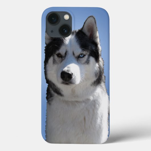 ハスキー銀河系S3ケースそりドッグハスキーケース Case-Mate iPhoneケース (裏面)