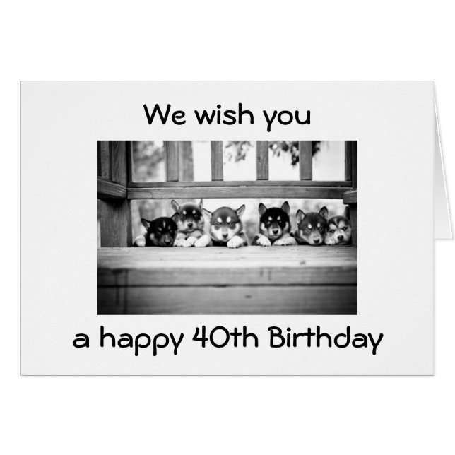 ハスキー集団は幸せな4番目の誕生日を願う (正面横)