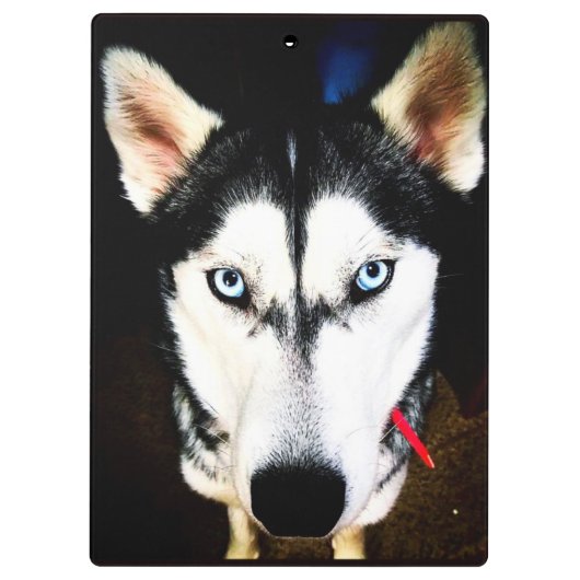 ハスキー クリップボード (裏面)