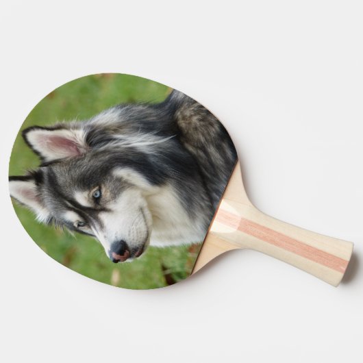 ハスキー 卓球ラケット (横)