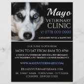 ハスキー、獣医、獣医サービス チラシ (正面)