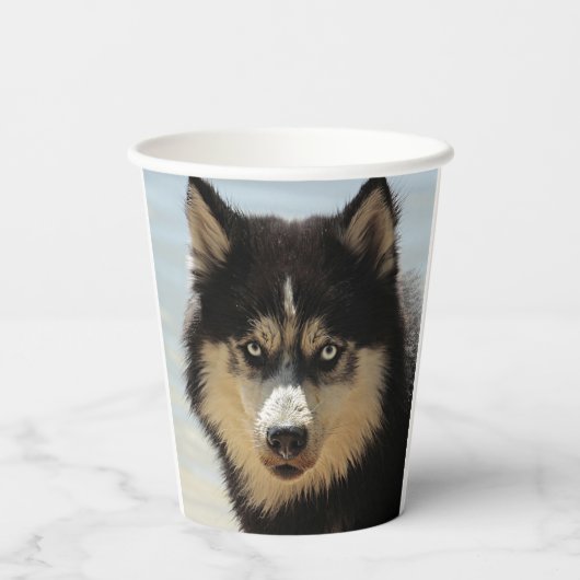 ハスキー 紙コップ (裏面)