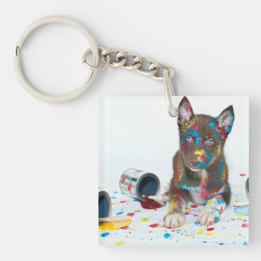 ハスキ間抜けーな子得犬がバケツ絵を描に入る キーホルダー (正面)