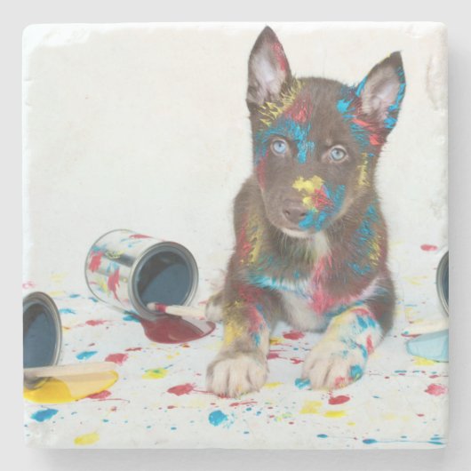 ハスキ間抜けーな子得犬がバケツ絵を描に入る ストーンコースター (正面)