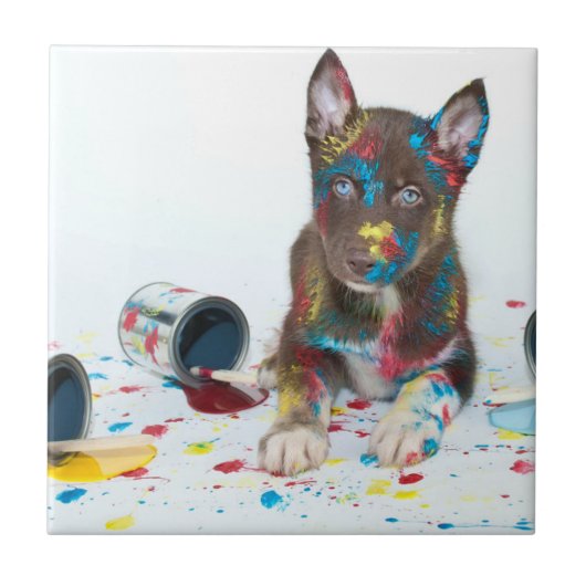 ハスキ間抜けーな子得犬がバケツ絵を描に入る タイル (正面)