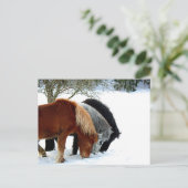 ハスター ポストカード (スタンド正面)