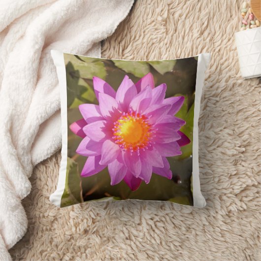 ハス枕 クッション (ブランケット)
