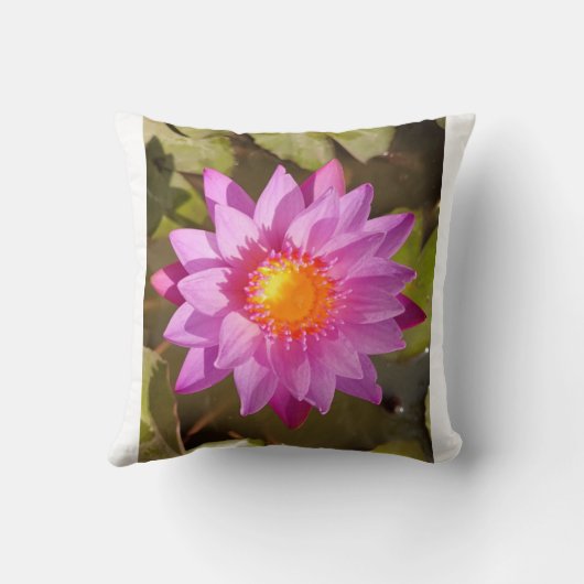 ハス枕 クッション (裏面)