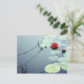 ハス・オン・ウォーター ポストカード (スタンド正面)