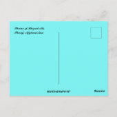 ハズラト・アリ・シャリフ・アフガニスタンの神殿 ポストカード (裏面)