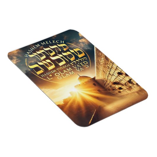 ハセム磁石 マグネット (右側)