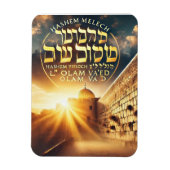 ハセム磁石 マグネット (縦)