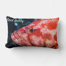 ハタとクリーナーエビ