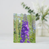 ハタハタプリントはがき ポストカード (スタンド正面)