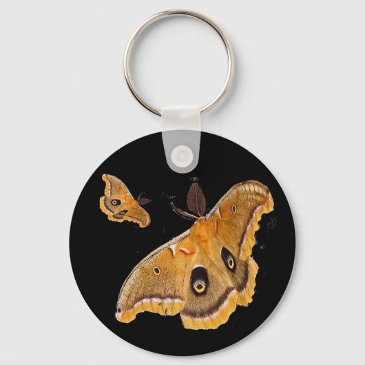 ハタバガ キーホルダー (正面)