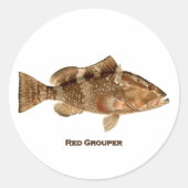 ハタ魚 ラウンドシール (正面)