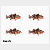 ハタ魚 楕円形シール (シート)