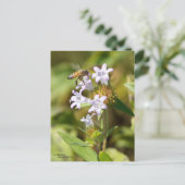 ハチがピンクの花を飛ぶ ポストカード (スタンド正面)