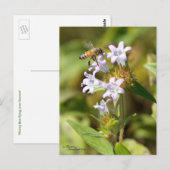 ハチがピンクの花を飛ぶ ポストカード (正面/裏面)