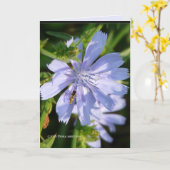 ハチが野生のブルーに カード (黄色い花)